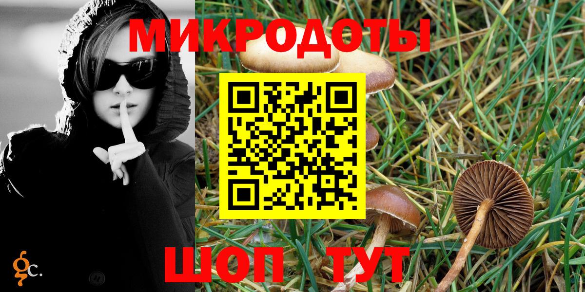 Псилоцибиновые грибы мухоморы  продажа наркотиков  Псилоцибиновые грибы прущие грибы  Саров  Вход с VPN 